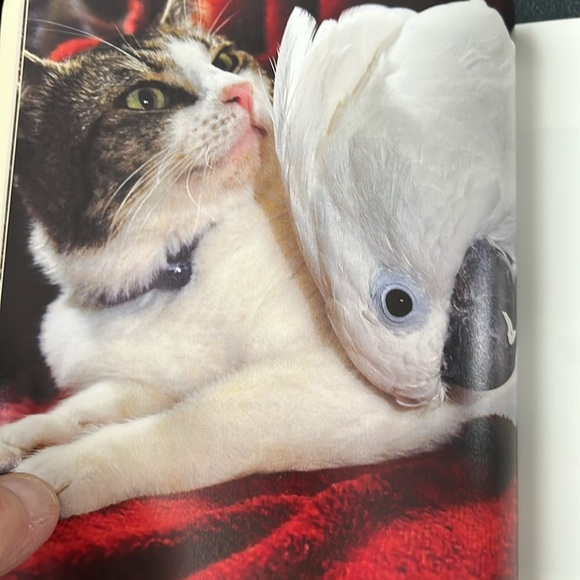 Two Heartwarming Books Humble & Kind and Unlikely Friendships Both EXC! - Picture 11 of 16